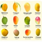 Types of Mango varieties you must try in the market - busivold